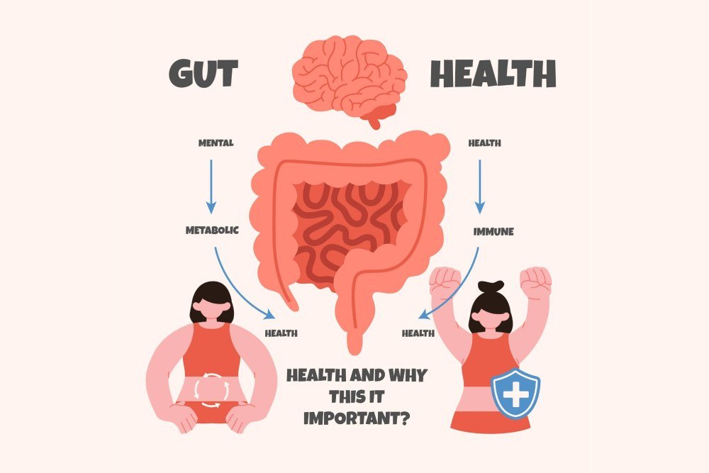 Everyday foods for good gut bacteria