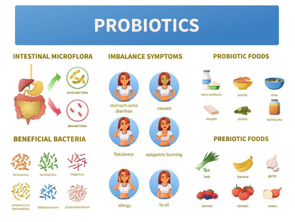 Gut-friendly foods for better digestion